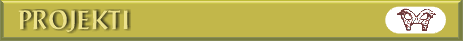 Projekti